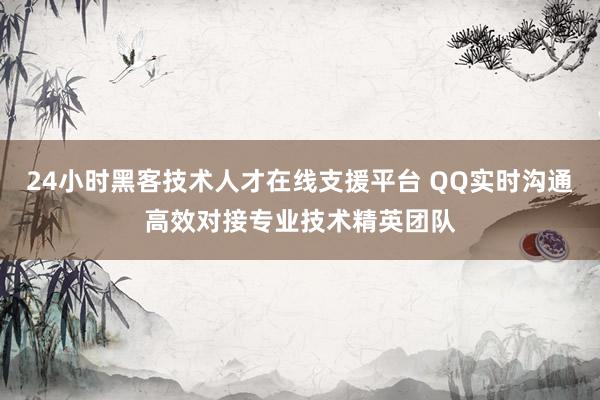 24小时黑客技术人才在线支援平台 QQ实时沟通高效对接专业技术精英团队