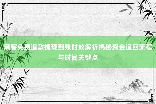 黑客免费追款提现到账时效解析揭秘资金追回流程与时间关键点